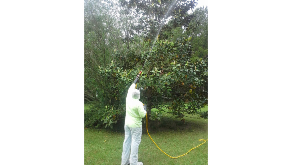 Spraying for Insect and Fungal Pests
