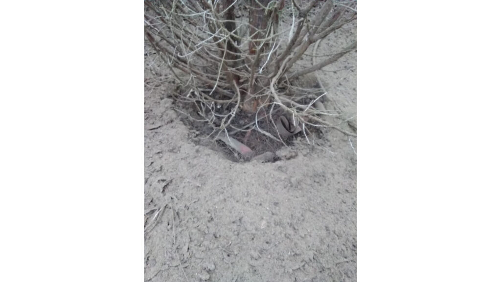 Soil Management