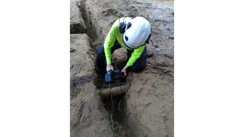 Root Pruning Before Foundation Construction: