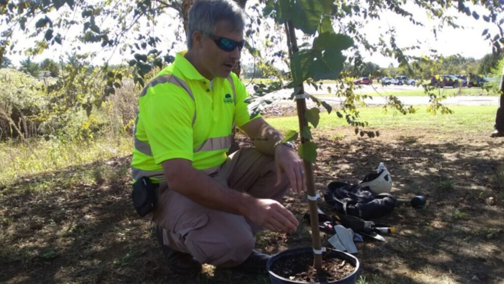 Tree Planting