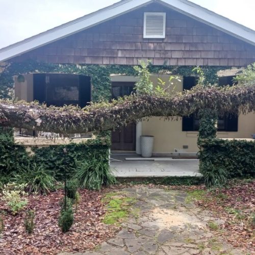 Fairhope, AL - installing a prop on a live oak to raise the height of the limb