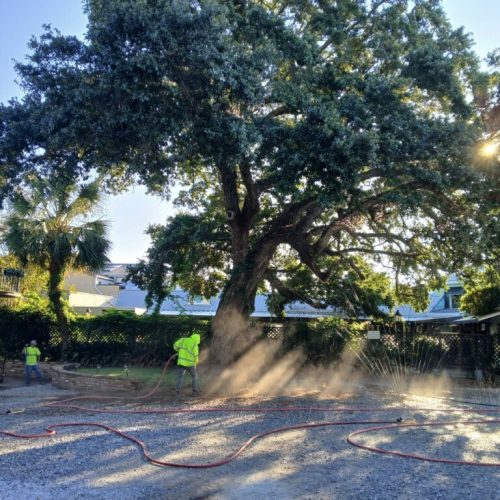 Fairhope, AL -  air excavation to find roots ahead of construction