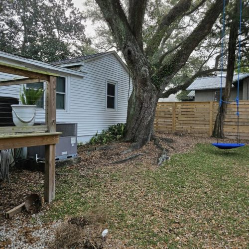 Fairhope, AL - searching for roots ahead of remodel/construction