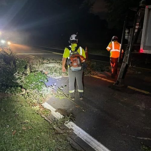 Mobile, AL - Emergency tree jobs