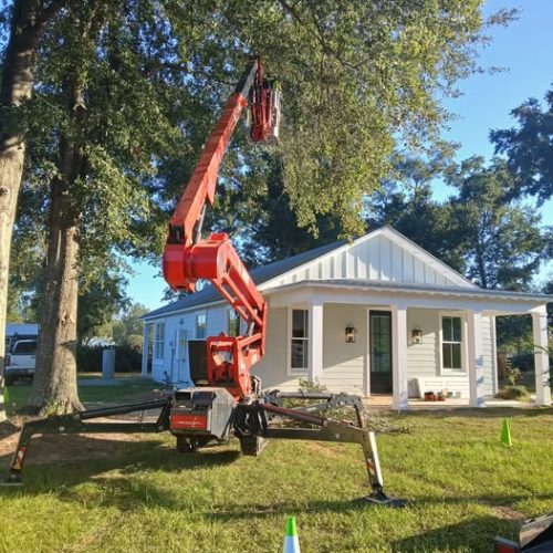 Point Clear, Fairhope, AL - tree pruning of a live oak and other trees