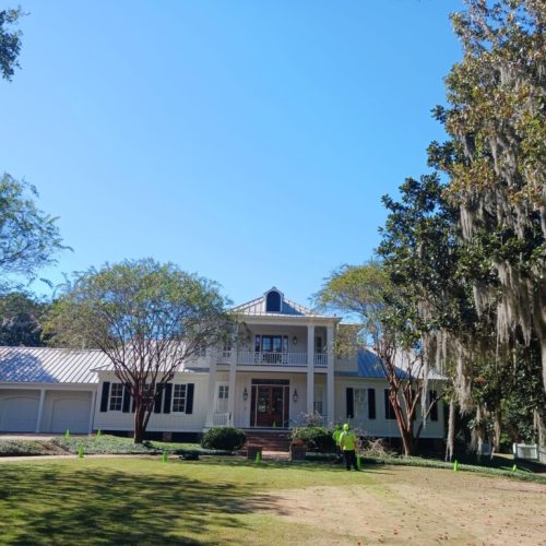 Montrose AL, USA - Pruning Trees