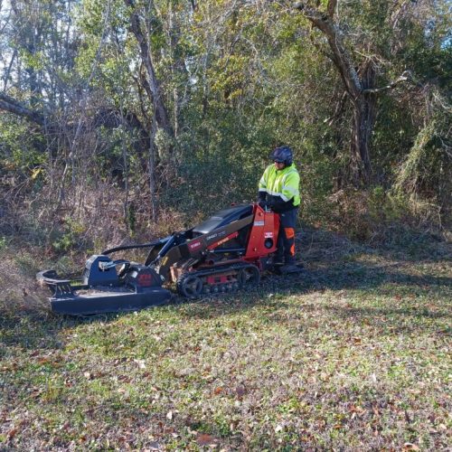 Mobile, AL - brush cutting underbrush