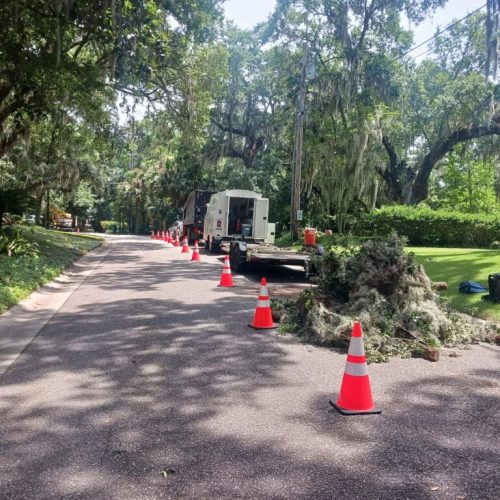 321 Whiting Court, Daphne, AL - pruning of live oaks and magnolias