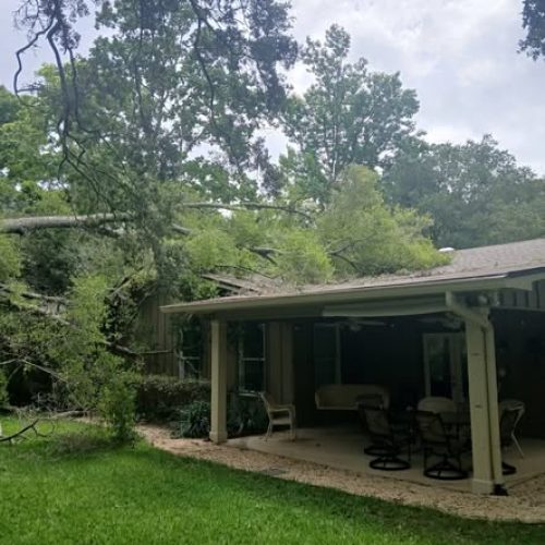 Fairhope, AL - emergency job - tree failed due to internal decay