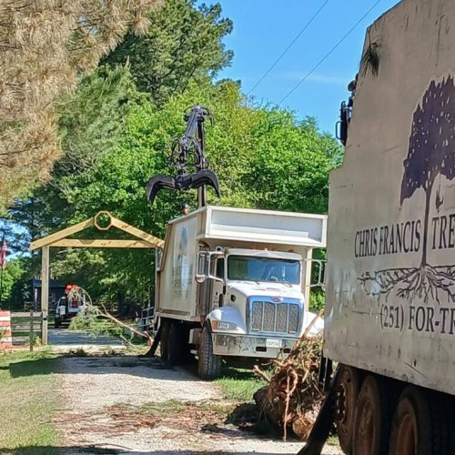 Summerdale, AL - tree removal and grappling debris.