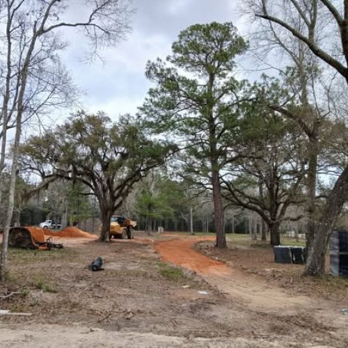 Elberta, AL - public project without proper tree protecton.