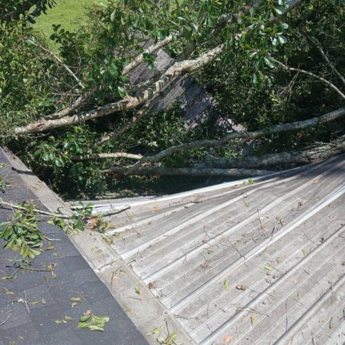 Theodore, AL - Emergency Tree Removal Due to Bark Inclusion
