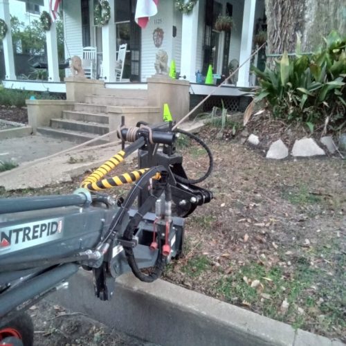 1125 Church Street, Mobile, AL - emergency job - live oak failed due to internal fungal decay