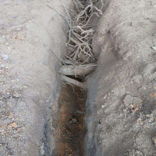 Fairhope, AL -  air excavation to find roots ahead of construction