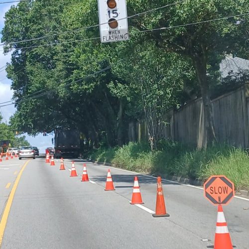 Mobile, AL - Springhill Avenue - city work - pruning the entire street