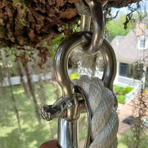 Point Clear, AL - installing a swing in a live oak