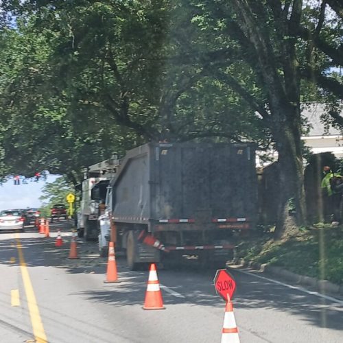 Mobile, AL - Springhill Avenue - city work - pruning the entire street
