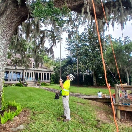 Point Clear, AL -Installing Tree Lightning Protection & Swing  (In Progress)