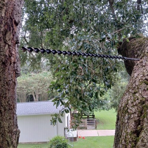 Silverhill, AL - Tree Preservation Project Completed with 22 Support Rods