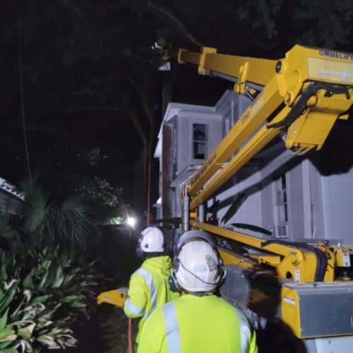 1125 Church Street, Mobile, AL - emergency job - live oak failed due to internal fungal decay