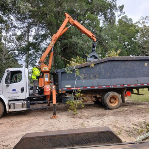 Fairhope, AL - emergency tree - failed due to high winds and poor structure