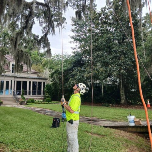 Point Clear, AL -Installing Tree Lightning Protection & Swing  (In Progress)