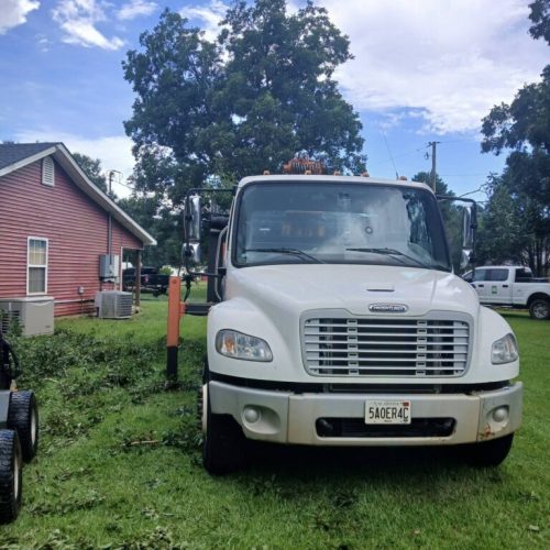 Theodore, AL - Emergency Tree Removal Due to Bark Inclusion