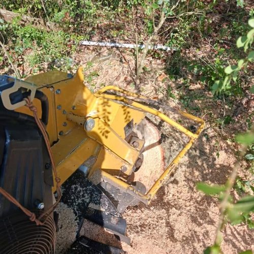Fairhope, AL - pruning for red light installation