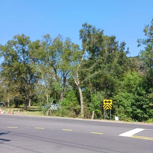 Fairhope, AL - pruning for red light installation