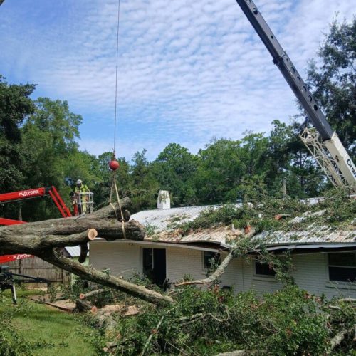 Emergency Tree Removal in Fairhope, AL
