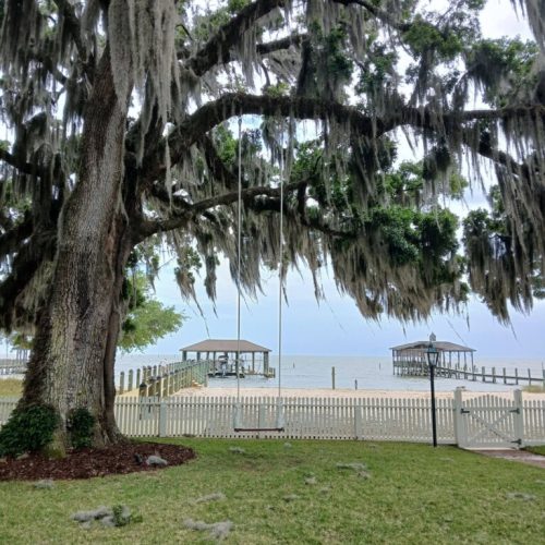 Point Clear, AL - installing a swing in a live oak