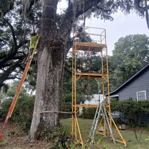 Olde Towne Daphne, AL - Supplemental Support System Installed on Live Oak