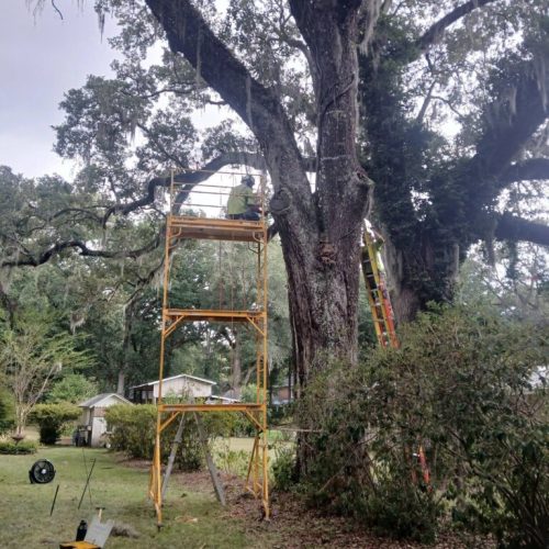 Olde Towne Daphne, AL - Supplemental Support System Installed on Live Oak