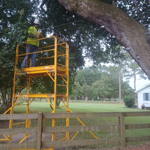 Silverhill, AL - Tree Preservation Project Completed with 22 Support Rods