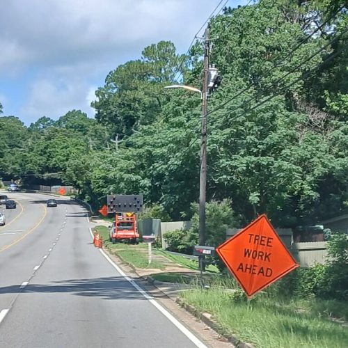 Mobile, AL - Springhill Avenue - city work - pruning the entire street