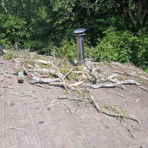 Fairhope, AL, - emergency job - removing an uprooted water oak from a home