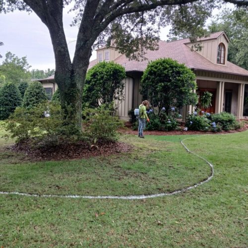 Project in Point Clear & Fairhope, AL - enlarging mulch bed around live oak