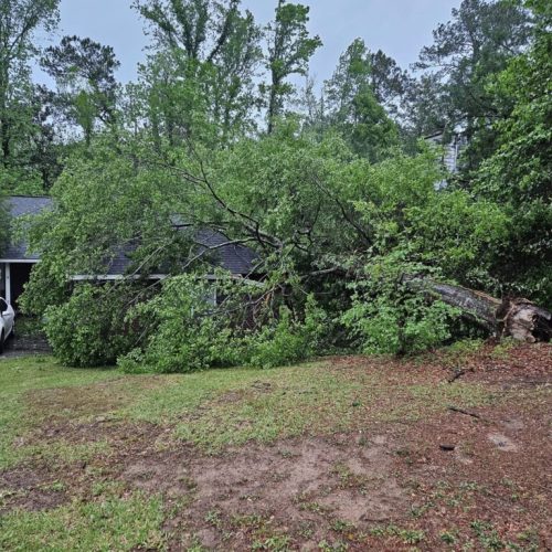 Daphne, AL, USA - emergency job - Daphne, AL (Lake Forest Subdivision) - tree failed due to high winds, internal decay, and bark inclusion