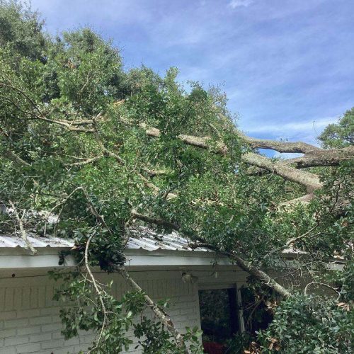 Emergency Tree Removal in Fairhope, AL