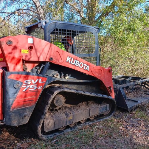 Mobile, AL - brush cutting underbrush