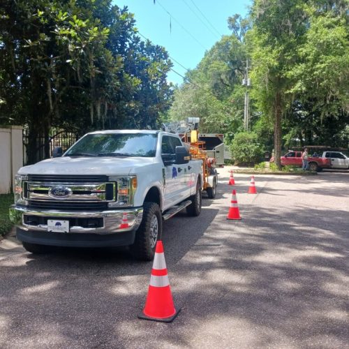 321 Whiting Court, Daphne, AL - pruning of live oaks and magnolias