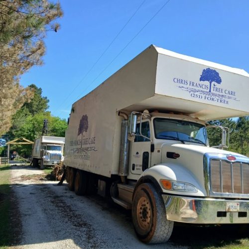 Summerdale, AL - tree removal and grappling debris.