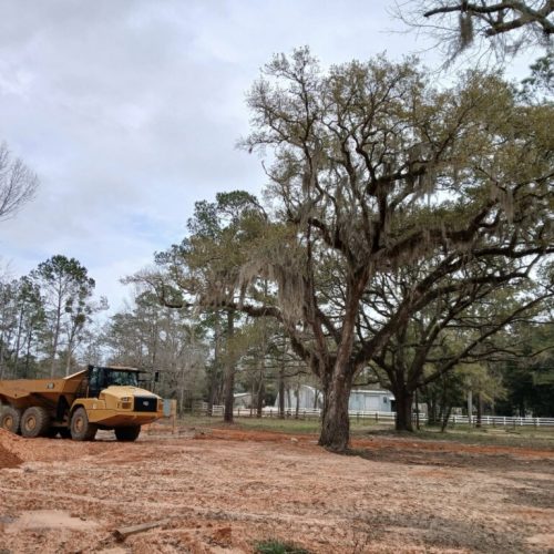 Elberta, AL - public project without proper tree protecton.
