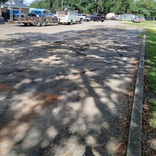 Mobile, AL-Tree Root Management Consulting Project Saving Live Oaks During Parking Lot Repaving