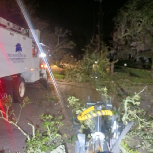 Mobile, AL - city work - emergency job - live oak split from bark inclusion