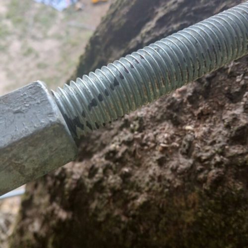 Silverhill, AL - Tree Preservation Project Completed with 22 Support Rods