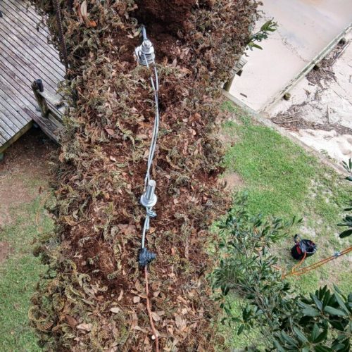 Point Clear, AL -Installing Tree Lightning Protection & Swing  (In Progress)
