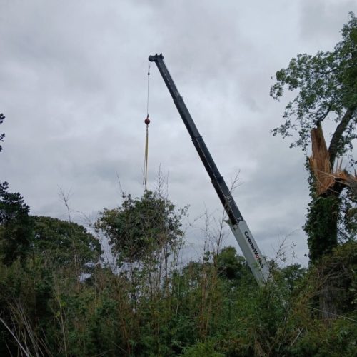 Fairhope, AL - emergency tree - failed due to high winds and poor structure