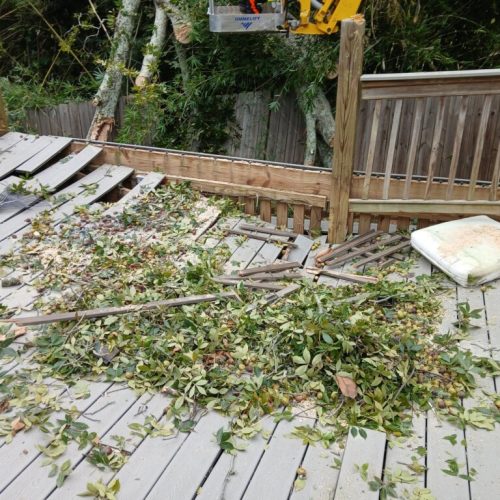 Fairhope, AL - emergency tree - failed due to high winds and poor structure
