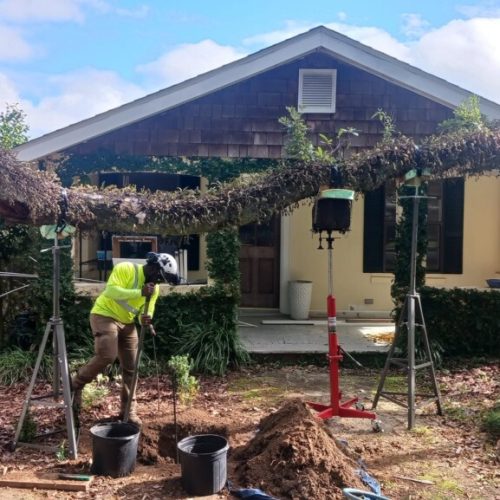 Fairhope, AL - installing a prop on a live oak to raise the height of the limb